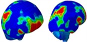 Distribution of intracranial pressure in a single frontal impact