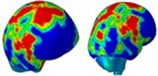Distribution of intracranial pressure in a single frontal impact
