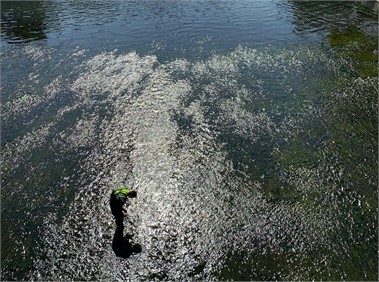 Qing river comparison experiment