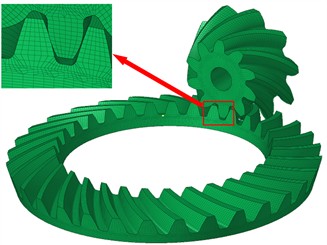 Spiral bevel gear mesh model