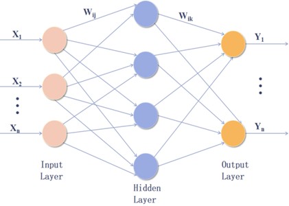 Topology of backpropagation neural network