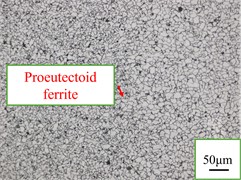 Incomplete recrystallization zones of welded joints at laser welding speeds. Photos taken by Liu Pinxiao in Nanyang on 10 January 2025