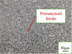 Fine-grained zones of welded joints at laser welding speeds. Photos taken by Liu Pinxiao in Nanyang on 10 January 2025