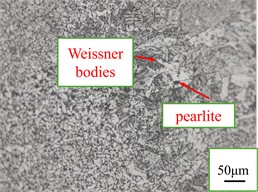 Coarse-grained zones of welded joints at laser welding speeds. Photos taken by Liu Pinxiao in Nanyang on 12 January 2025