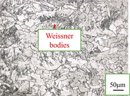 Weld zones of welded joints at laser welding speeds. Photos taken by Liu Pinxiao in Nanyang on 12 January 2025