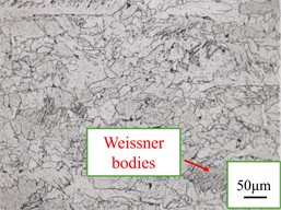 Weld zones of welded joints at laser welding speeds. Photos taken by Liu Pinxiao in Nanyang on 12 January 2025