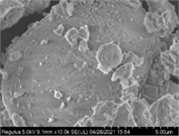 Particle size distribution of OPC and CSA cement