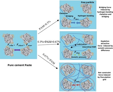 Mechanism model diagram of materials with different PAM content [19, 20]
