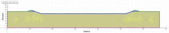 Grid diagram of numerical model for regulated reservoirs