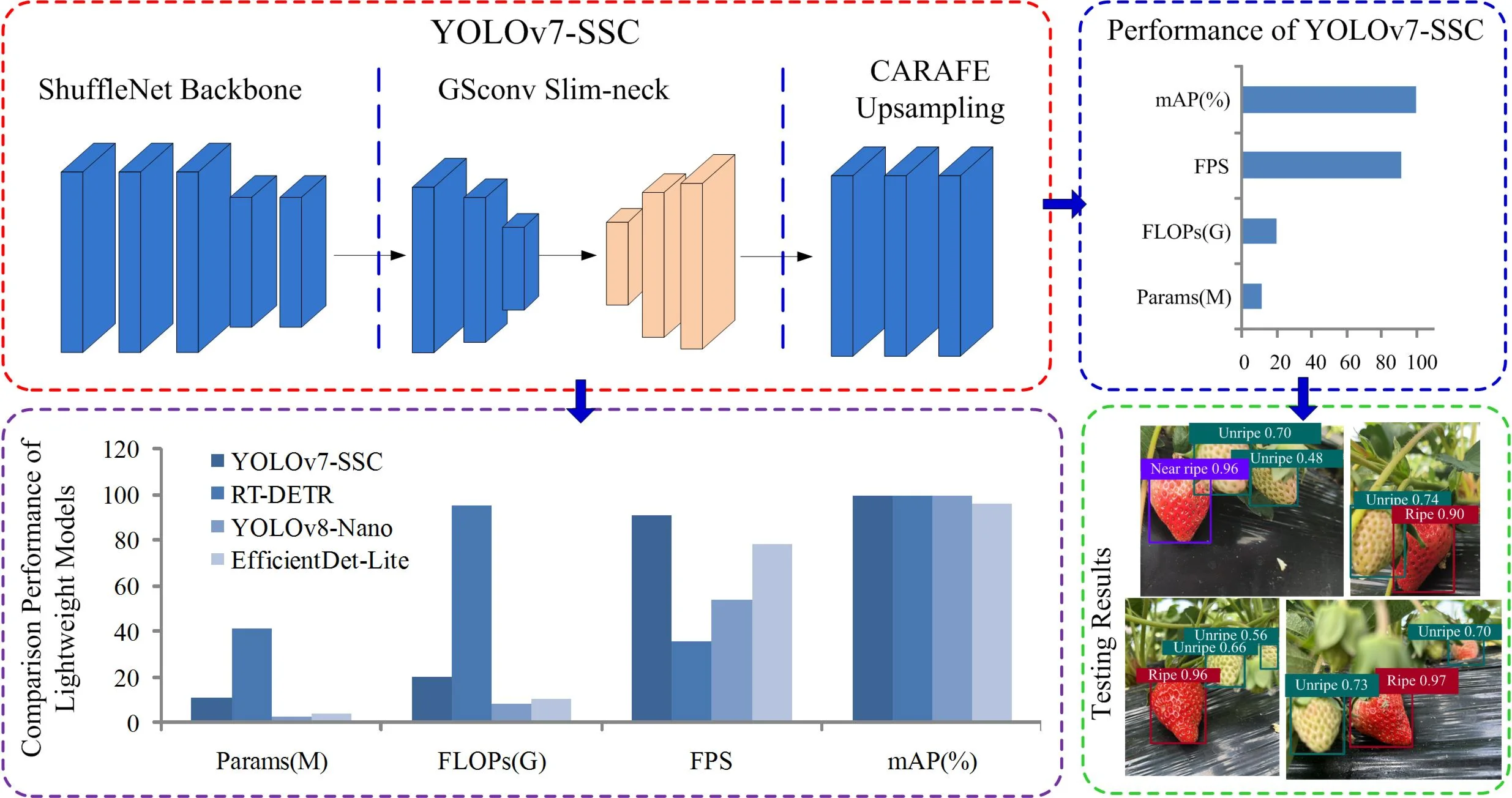 Strawberry ripeness detection based on improved lightweight network in cluttered field environment