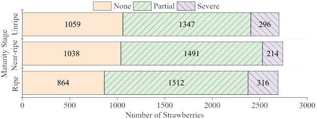 Occlusion levels of strawberries in the dataset