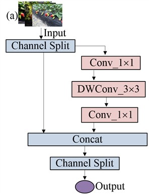 ShuffleNetv2 base Units: a) Unit1 with stride = 1, which uses Channel Split to process features;  b) Unit2 with stride = 2, which employs depth-wise convolution (DWConv) for downsampling