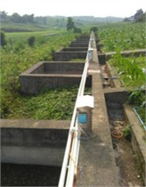 The main control circuit and real object of the receiving end. Photos by Yang Main, Fuling, Chongqing, May 2025