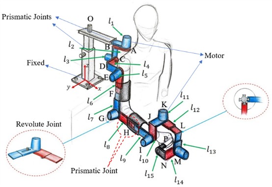 Three-dimensional schematic of the modular robot with joints