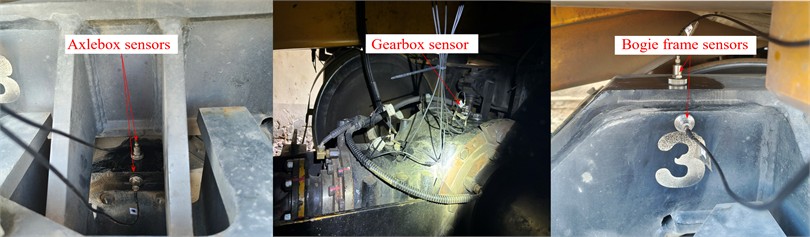 Measurement point arrangement. These photographs were taken  by the author Liu Zhiyang in Chengdu, June 2024