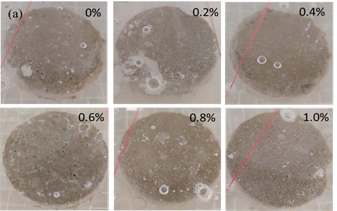 Disintegration process of samples. Photo by Jiao Yiwei, Lanzhou University Laboratory, Gansu Province, China, June 17, 2025