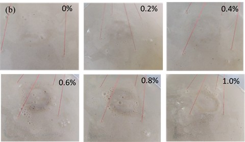 Disintegration process of samples. Photo by Jiao Yiwei, Lanzhou University Laboratory, Gansu Province, China, June 17, 2025
