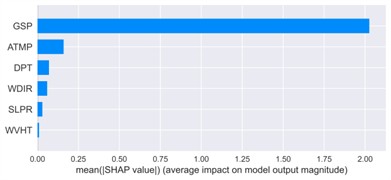 Mean absolute SHAP values for feature importance