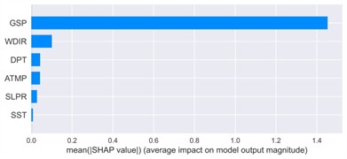 Mean absolute SHAP values for feature importance