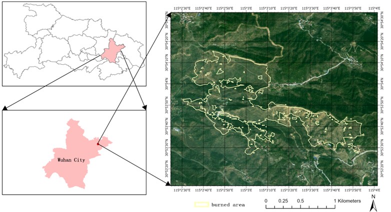 Location of the study area. Source: National Geomatics Center of China, Tianditu imagery base  map [GS(2025)1508], retrieved March 2025, from https://www.tianditu.gov.cn