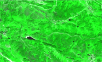 Sentinel-2 false color composite images a) before and b) after the fire