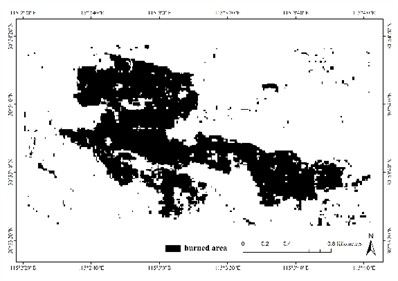 Burned area maps recognized by adaptive threshold of: a) dNDVI; b) dNBR; c) dNBR2