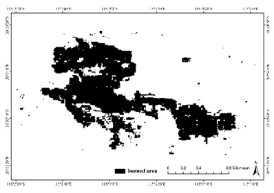Burned area maps recognized by adaptive threshold of: a) dNDVI; b) dNBR; c) dNBR2