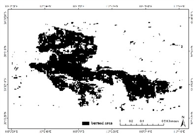 Burned area maps recognized by adaptive threshold of: a) dNDVI; b) dNBR; c) dNBR2