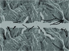 Microstructural analysis of a sound ultrasonic weld subjected to tensile failure at 50× magnification: a) an intact weld structure showing penetration of a thermoplastic polymer between fibre bundles;  b) a rupture surface showing interfacial delamination (arrows) and fibre separation. Images taken  by N. Palvannazirova of the Materials Testing Laboratory, Tashkent Institute  of Textile and Light Industry, Tashkent, Uzbekistan, December 2023