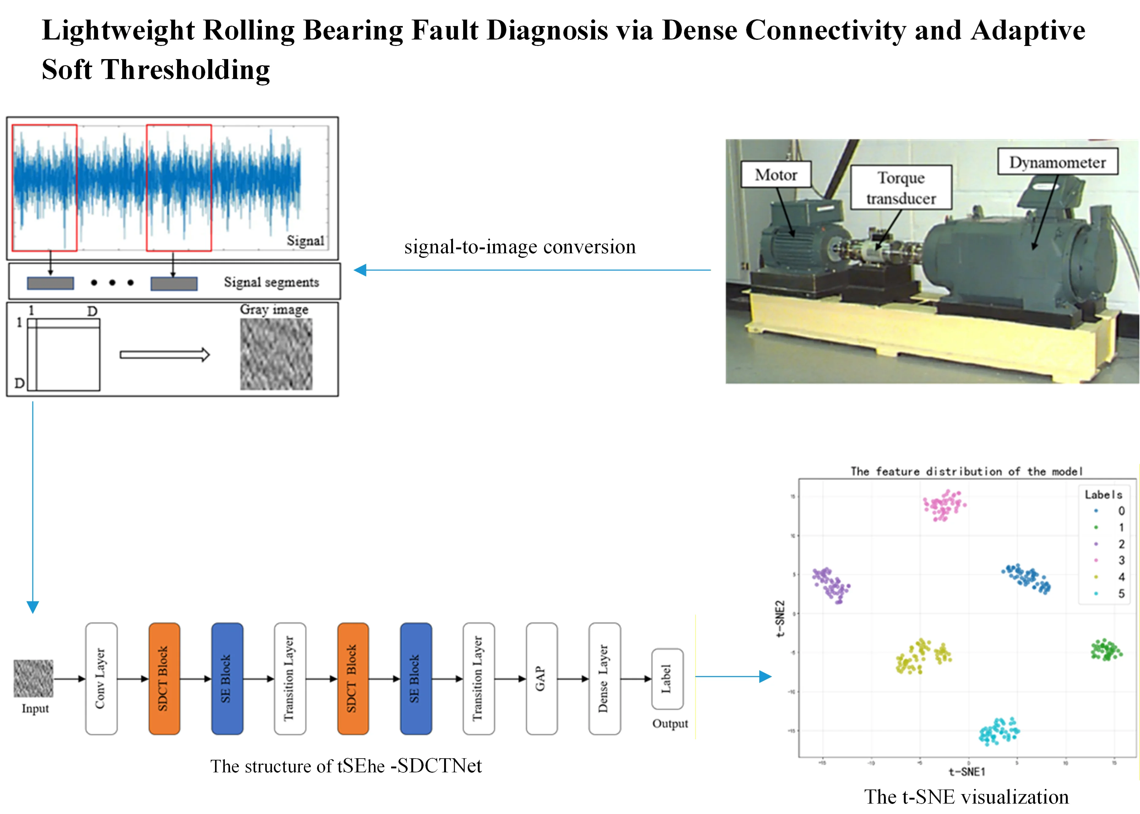 Lightweight rolling bearing fault diagnosis via dense connectivity and adaptive soft thresholding