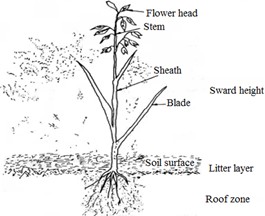Vegetation cover structure, protective layers, and flow velocity limits