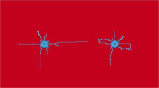 Development status of double-hole blasting cracks