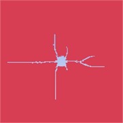 Development of single-hole blasting cracks