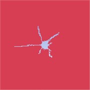 Development of single-hole blasting cracks