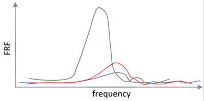Orientation of axis and different responses. Photo: A. Safonovs, 20.09.2025, Tbilisi