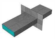 Finite element models of the concrete-filled steel tube specimen and the concrete column