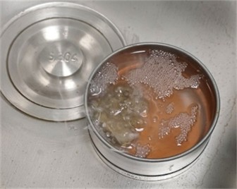 Oil quenching process. Photo taken by M.Z. Ubaydullaev (co-author) in the laboratory of the Almalyk Branch of NUST MISIS, 2025)