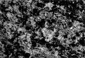 Microstructure before carbonitriding. Photo taken by M.Z. Ubaydullaev (co-author) in the laboratory of the Almalyk Branch of NUST MISIS, 2025