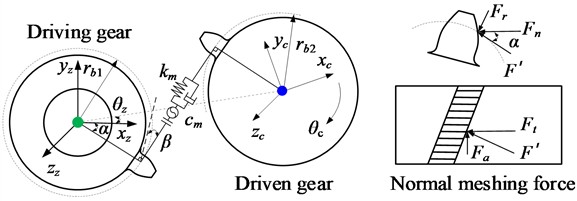 The gear meshing element