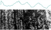 Profilogram and microstructure of the control roller–bushing pair after laboratory tests (magnification: horizontal – ×100, vertical – ×500) and surface microstructure (×100):  a) roller made of 35GL steel; b) bushing made of 20GL steel