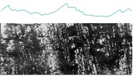Profilogram and microstructure of the control roller–bushing pair after laboratory tests (magnification: horizontal – ×100, vertical – ×500) and surface microstructure (×100):  a) roller made of 35GL steel; b) bushing made of 20GL steel