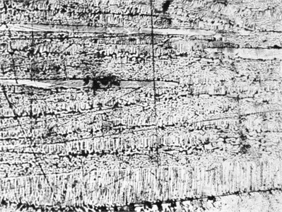 Microstructure of 3 sample. Photo taken by the authors in the laboratory  of the Almalyk Branch of NUST MISIS, 2025