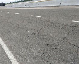 Research results. Photos were taken by Mamatkulov Muzaffar in September 2023, in highways D002, D012 and D021