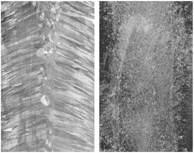Macrostructures of control and experimental blanks made of 12X18H9T steel in the longitudinal axial plane. The photograph was first taken by Uzdieva N. S. and Vakhidova K. L. in 2019  at the “Nanotechnology and Nanomaterials” Collective Use Research Center of the  Groznian State Oil Technical University