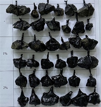 Adhesion of crushed stone with the addition of 1% and 2% “TITAN” modifiers to bitumen and with ordinary BND 90/60 grade bitumen