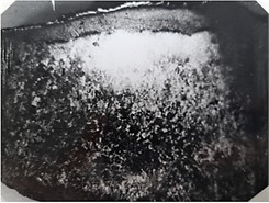 The macrostructure of the PG-27C carbide coating  of the “sormite” type on the treadmill of the tracked link (x5)