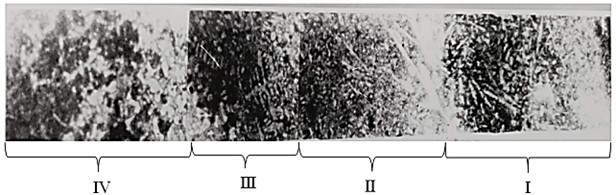 Microstructure of the carbide bimetallic composition PG-C27 alloy – 20GL steel  on the treadmill of the crawler link: I – after eutectic zone; II – eutectic zone;  III – pre-eutectic zone; IV – base steel 20GL (x 100)