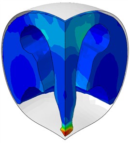 Nature of water behavior at rigid plates