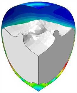Nature of water behavior at elastic plates