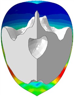 Nature of water behavior at elastic plates